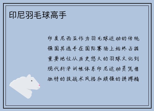 印尼羽毛球高手